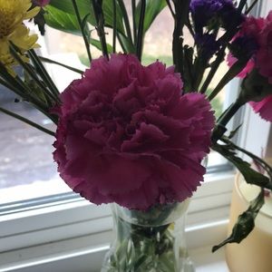 Meet your Posher, Suzanne